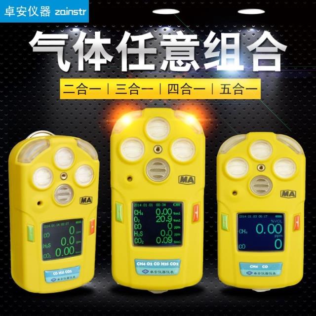 Multi-functional gas detector