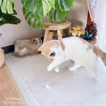Encircling Xiaoxue · pidan cat toy Xiaoxue Monster cat self-Hi Toy Puzzle interactive automatic small