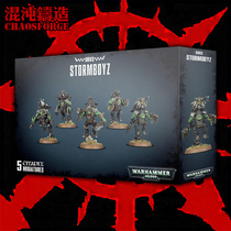 Warhammer 40K Orcs Storm Kid Orks Stormboyz