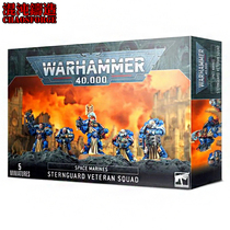 Warhammer 40K Star Warrior Suwei Veterans Squad Sternguard Veteran Squad