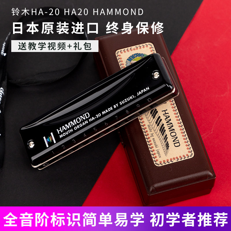 Suzuki Suzuki HA-20 HA20 HAMMOND Ten Hole Bruce Adult Advanced Harmonica Professional Beginner