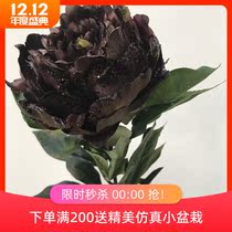 Fake flower silk flower simulation flower single branch European style retro magic color meteor powder peony flower export tail single special price