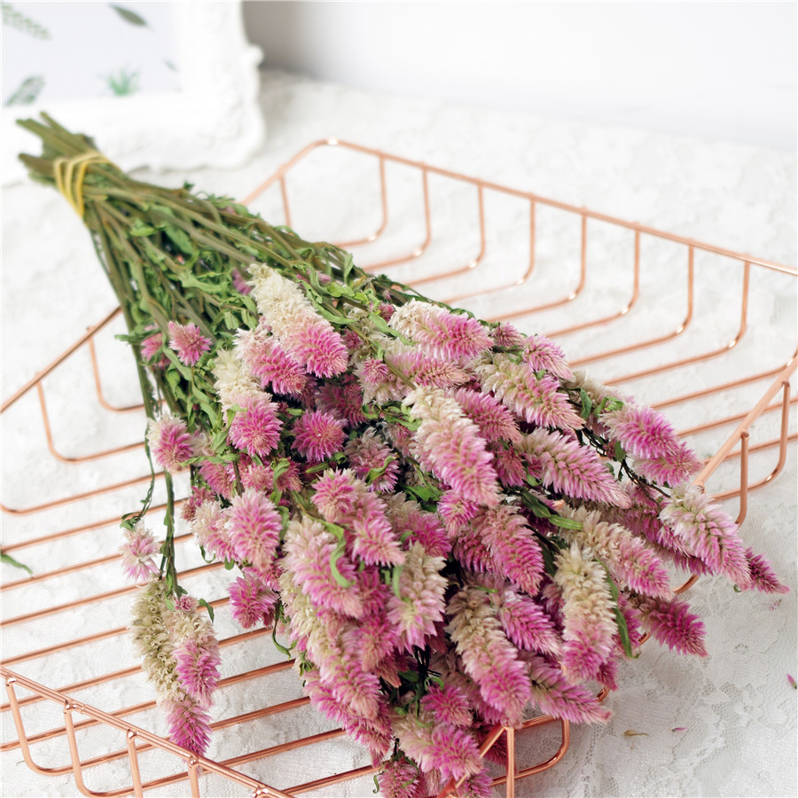 鳳尾乾燥花小清新文藝diy插花束真花家居擺設北歐網紅ins風拍照裝飾