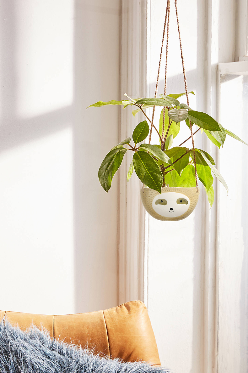 The Nordic idea sloths suspension flowerpot more meat hanging basket is placed on The wall hang wall ceramic flowerpot pendant