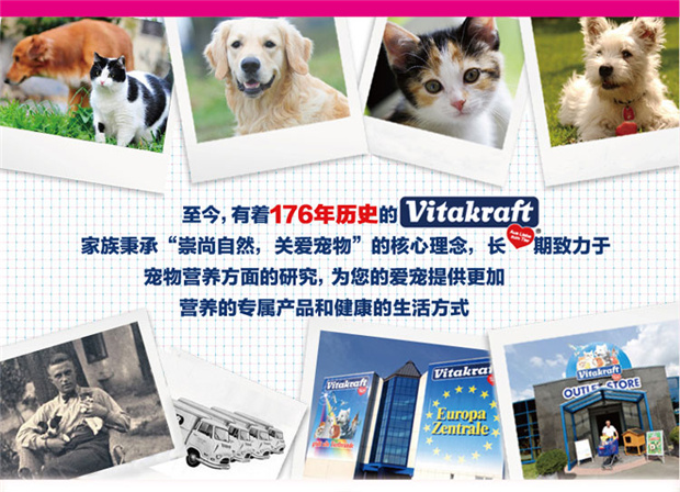 Đức Vitakraft Wet Kraft Snack Cat Cat Thưởng thức ăn nhẹ Hương vị Tùy chọn 6g * 3 - Đồ ăn nhẹ cho mèo thức ăn cho mèo mẹ mới đẻ