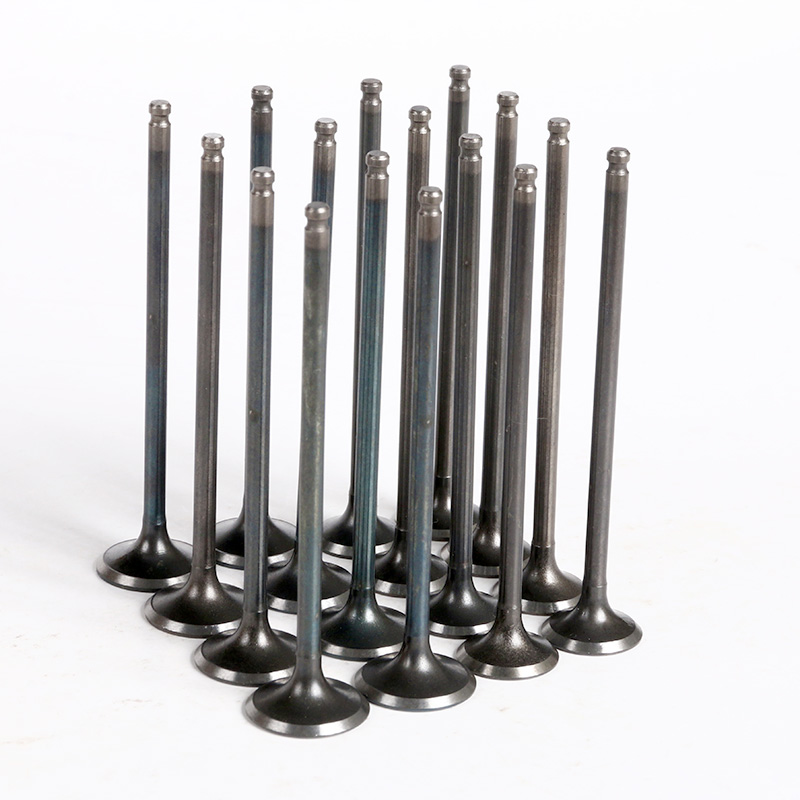 Locomotive valves apply Mountain leaf FZR250 small plate bone plane engine valve accessories in the exhaust door