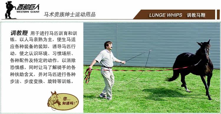 Article équitation - Ref 1380992 Image 4