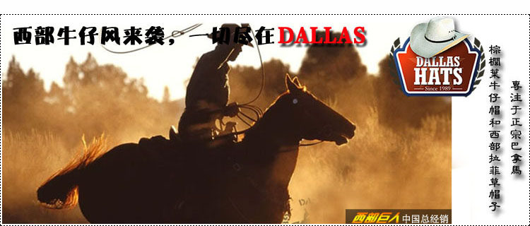 Article sports equestres  DALLAS - Ref 1387206 Image 7