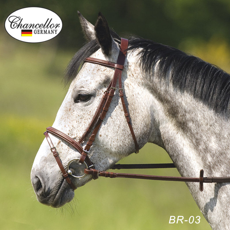 Germany imported English saddle water rein equestrian obstacle training cowhide horse dragon head soft glue reins Western Giants