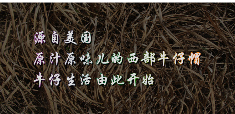 Article équitation  DALLAS - Ref 1379033 Image 20