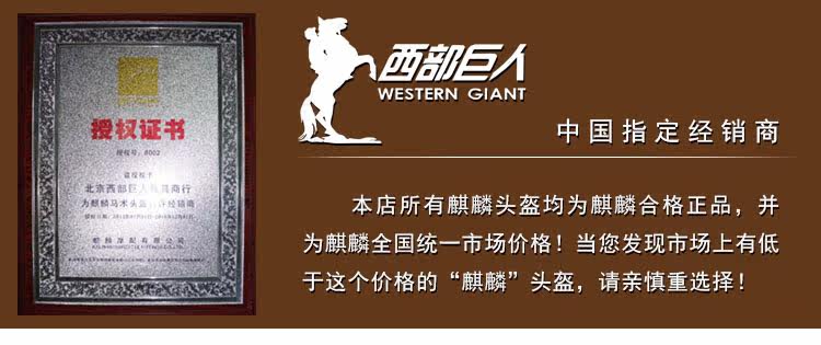 Article équitation  KYLIN - Ref 1380830 Image 8