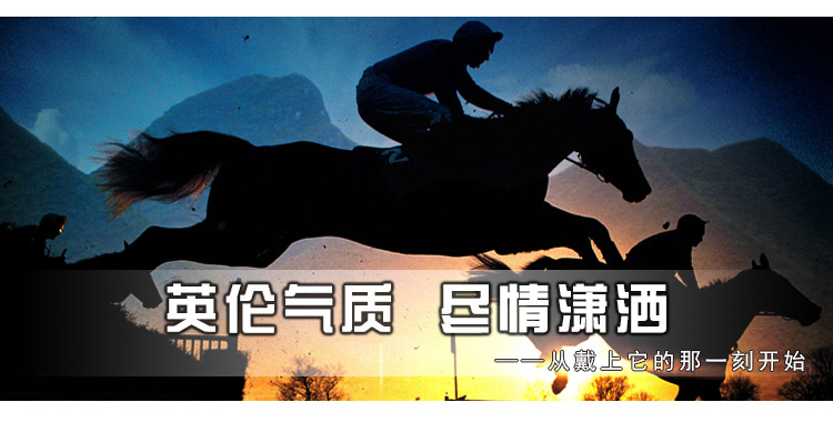 Article équitation WEST GIANT - Ref 1379838 Image 15