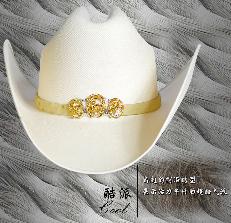 Article équitation  DALLAS - Ref 1379033 Image 16