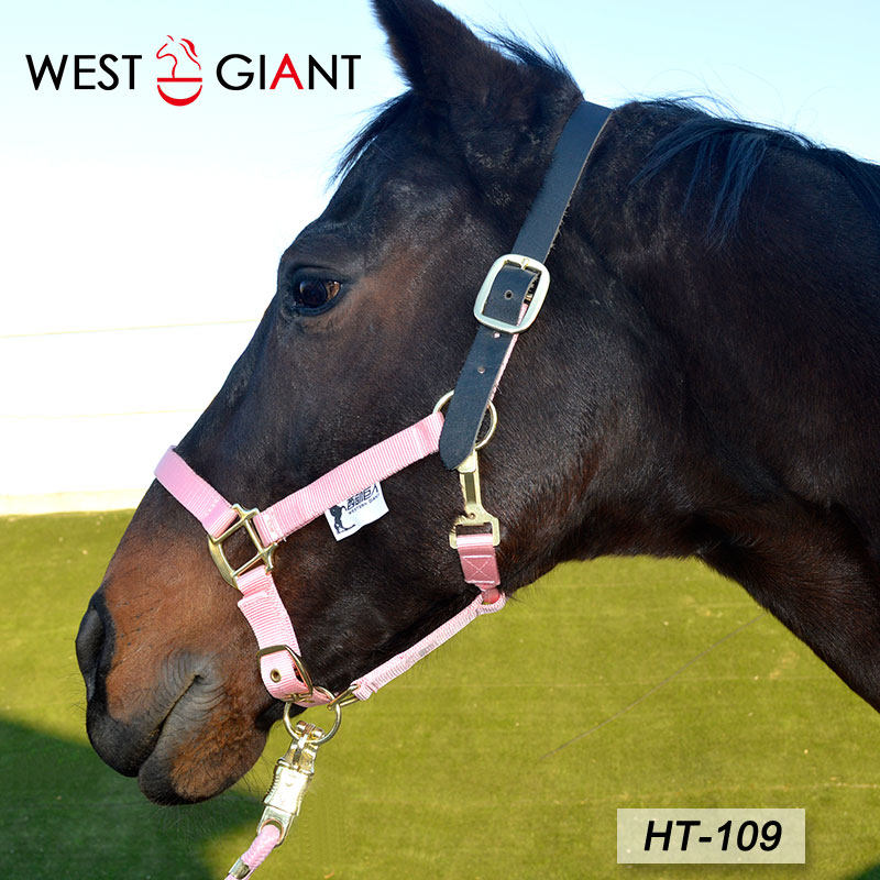 HT-109 Segmented bridle Western Giant Premium Nylon bridle
