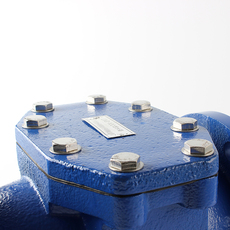 Водосчетчик 品牌防杂质过滤器不锈钢滤网表前隔渣阀lxg-50-150水表滤水箱