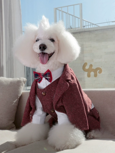 Шерстяное пальто, жилет, костюм, свадебное платье, 15 года, цвет