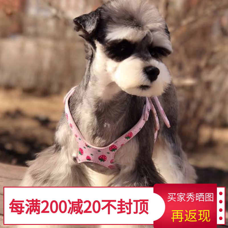 Strawberry Star Terms Pet Glasses BB Breast Cuddling baby bags Pet Breast bags Dogs Baby Bags Dogs Traction Rope Dog Chains