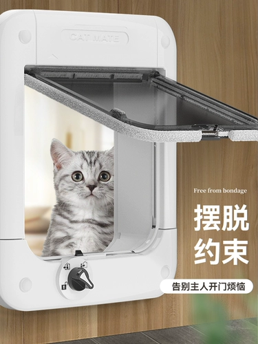 Британская безопасность импорта не застрял в дверей кошки и выходит из Puppy Pet 4, чтобы войти в подачу кота в дверь собаки