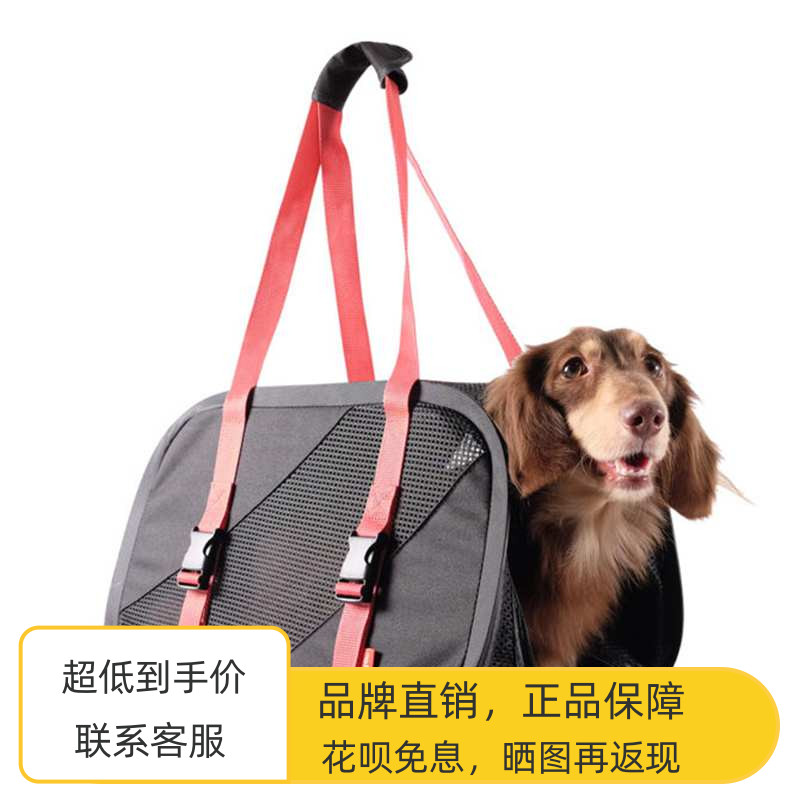 Taiwan BIYAYA Yibi, ah FC1702 Extreme Jane Leisure Pet bag outgoing bag Mesh Inclined Satchel Bag