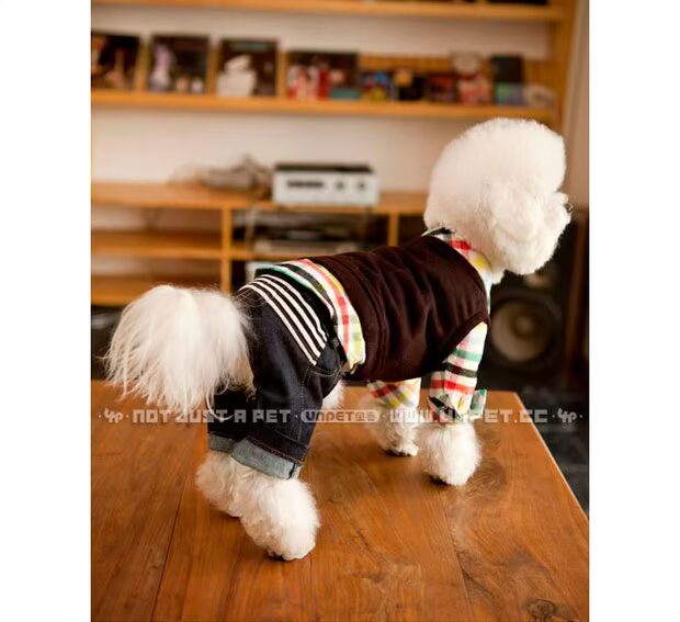 Baodi UNPET thú cưng xuân hè thu đông và quần áo hoang dã Nhật Bản và Hàn Quốc mix and match quần jean chó sọc sọc - Quần áo & phụ kiện thú cưng phụ kiện cho chó poodle