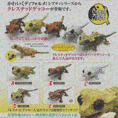 Type Play Club Bandai Gacha Toy Biotechnology Biotuka Active Gallery Устойчивая переезда в Pre -Sale