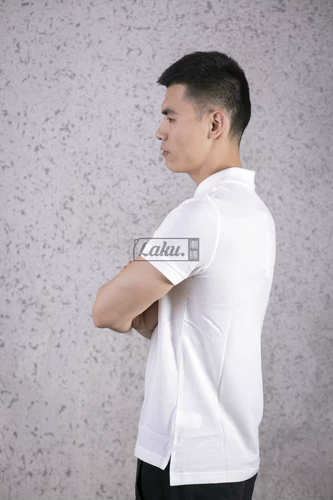 Подлинное пятно Lacoste French Crocodile Men's Short -Sleeved Polo рубашка обычная стройная версия ph4012