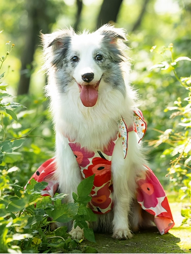 Летняя тонкая юбка, милое платье, подходит для подростков, эффект подтяжки