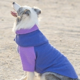 Зимняя бархатная удерживающая тепло осенняя толстовка, слюнявчик, шарф, коллекция 2023