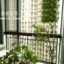 Special price European and American wrought iron balcony guardrail loft window fence Villa Leisure decoration stair handrail