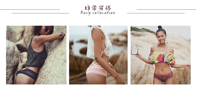 Hui girl huihui Châu Âu và Mỹ gợi cảm ren openwork lưới phối cảnh nửa gói hip thong đồ lót của phụ nữ