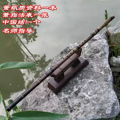 Ot Hai Xiao short Xiao Xiao Xiao Yan Musical Instrument Section Xiao Liuobiao Student Xiao Beginner Zizhudong Xiao