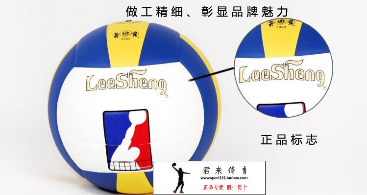 Ballon de volley - Ref 2016314 Image 10