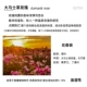 【10 мл】 Damascus Rose