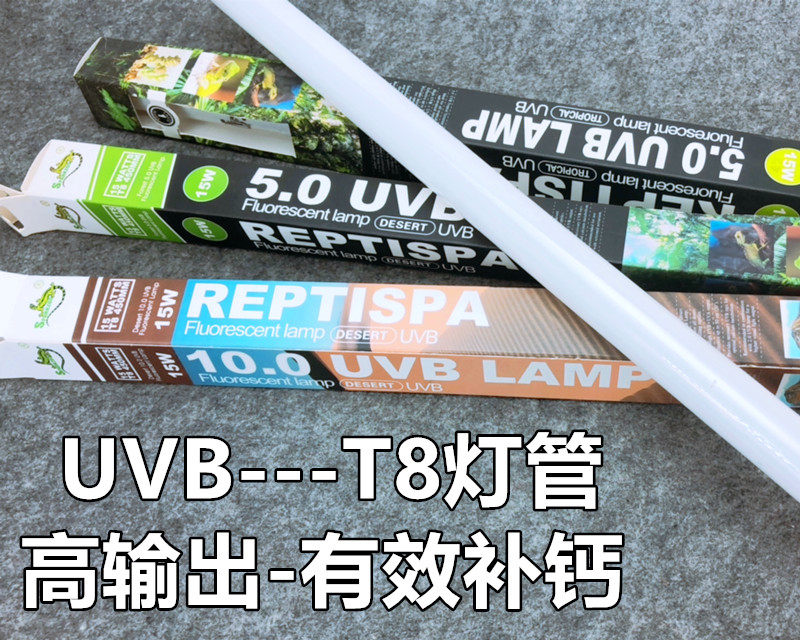 Promotion Crawfish tortoise box uvb10 0 UV 15wT8 lighting tube lizard uglans tonic calcium multimeat plant Upper color