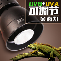 Climbing pet metal halogen lamp UVAUVB full spectrum solar bulb set tortoise Mane lizard succulent plant aquarium