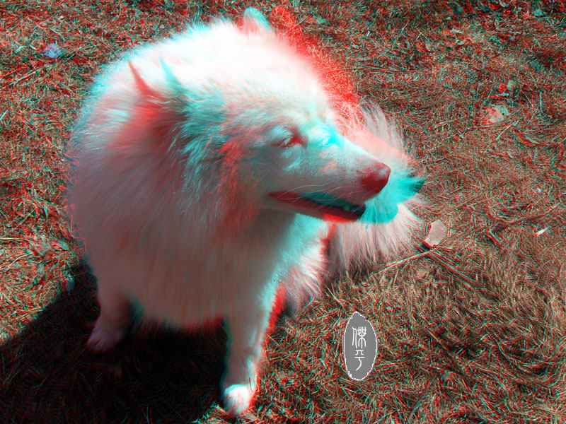 Lunettes VR ou 3D - Ref 1229131 Image 12