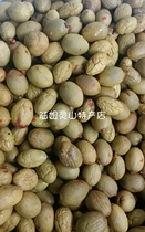 Guangxi Lingshan special pickled Nanzi sweet and sour Nan 1 catty