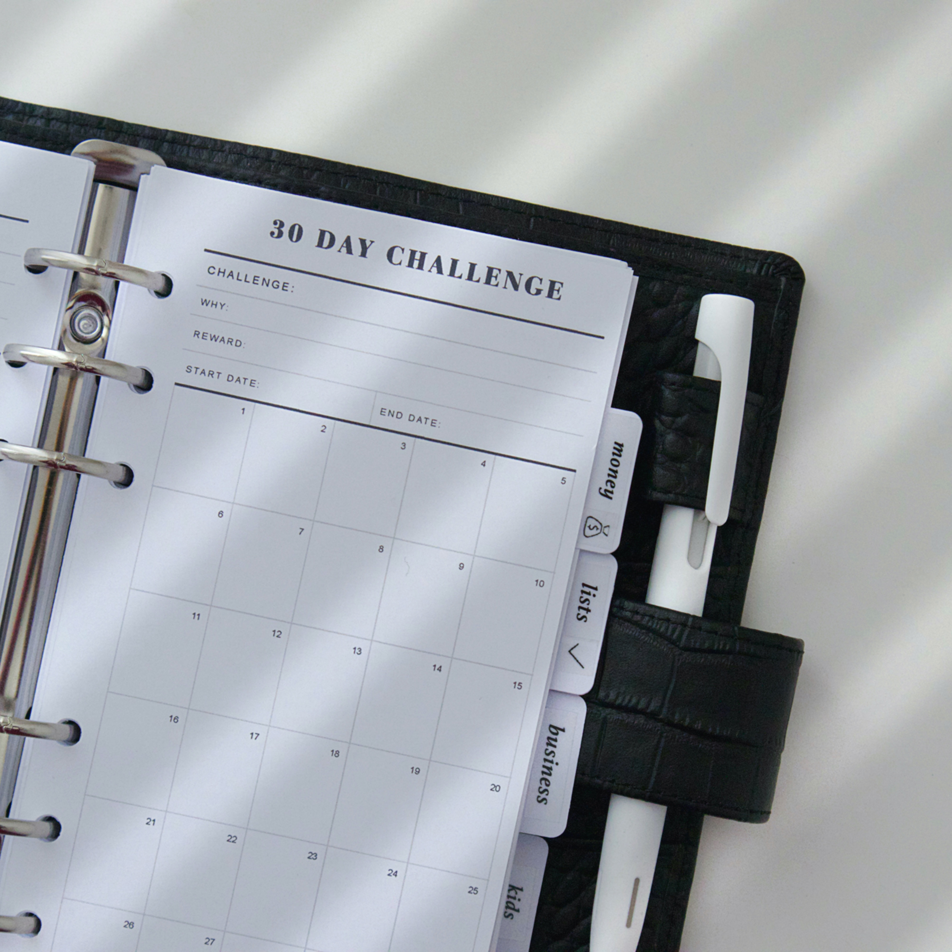 30 Day Challenge Inside Page Limited Link Inside Core A5A6 Moterm Filofax