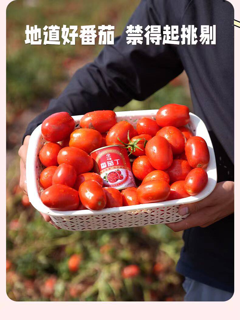 新疆番茄产品直销店