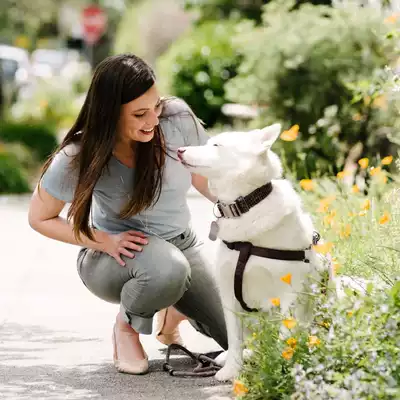 Women's Merino wool king T-shirt loose V-neck bottoming shirt T-shirt BF style solid color black short-sleeved summer new