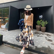 Zhao style dark night fragrant she grade imitation silk English elegant pleated print big skirt oil painting skirt