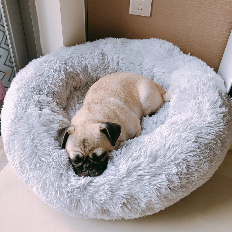 In red dog den Teddy than bear law dog socket in small dog room in the middle dog room network red cat nest four seasons universal