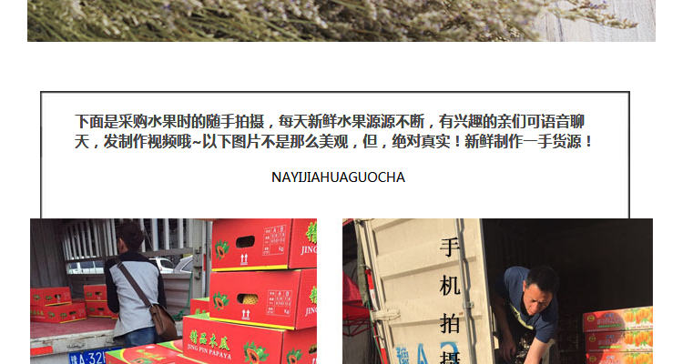 网红水果茶果干新鲜纯手工水果干片花果组合养