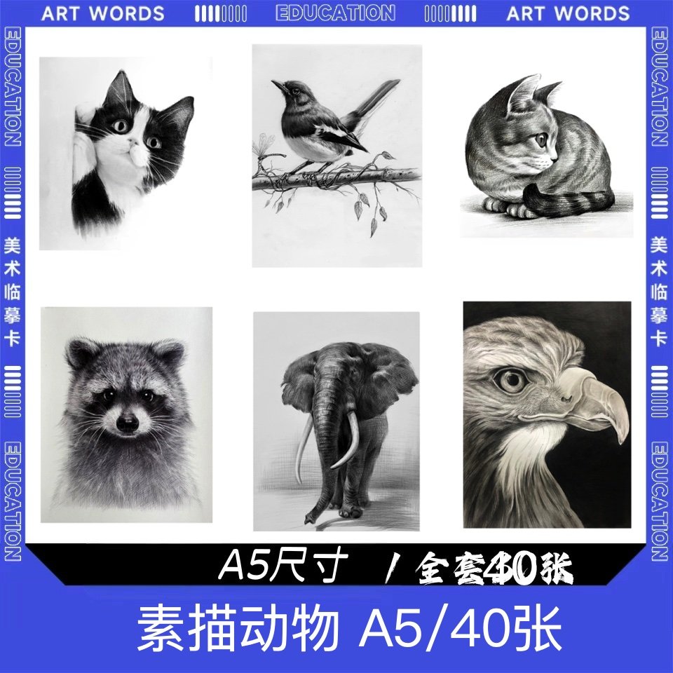 美少女战士速写练习与绘画过程, image size:960x960