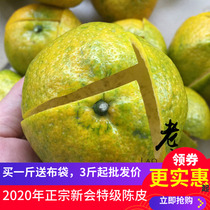 2021 authentic Xinhui tea branches Tangerine Peel dried big two red circle branches green skin 1 Jin 500 grams 2020 fresh fruit