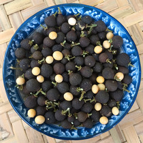 2020-2021 authentic new citrus green tangerine peel small citrus tree picking pruned BB fruit 500g 1kg non fresh fruit