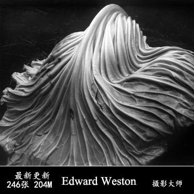 Edward Weston Still Life Photographer, Human Body Photographer, Picasso of the Photography World