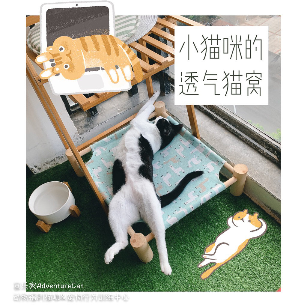 Xilejia cat breathable and comfortable cat litter camp bed various colors 