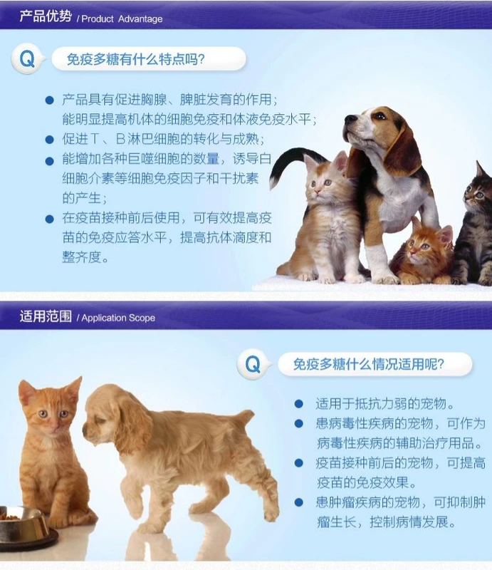 Kem Polysacarit miễn dịch yêu quý 80g Pet Cat Dog Teddy Golden Hair sau sinh sau sinh Kem dưỡng dinh dưỡng Sản phẩm sức khỏe