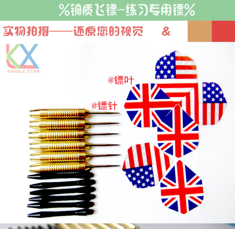Phi tiêu kim cao cấp chuyên nghiệp phi tiêu cờ cờ đồng phi tiêu kim trò chơi đặc biệt 18g bộ đầy đủ - Darts / Table football / Giải trí trong nhà phi tieu